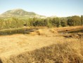 /album/photo-gallery-photogallery/the-sewage-ponds-at-rute-showing-small-areas-of-mud-jpg/